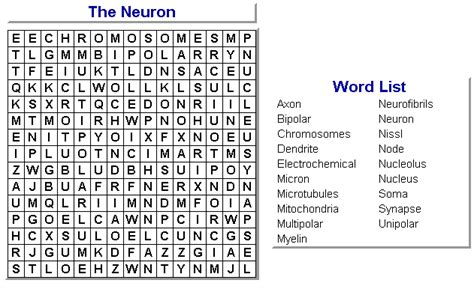 Neuron Word Search