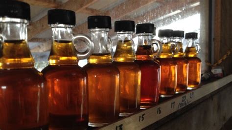 Quebec increases maple syrup production amid internal revolt, foreign ...