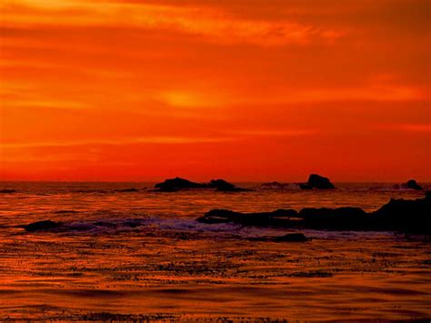 🔥 [40+] California Sunset Wallpapers | WallpaperSafari