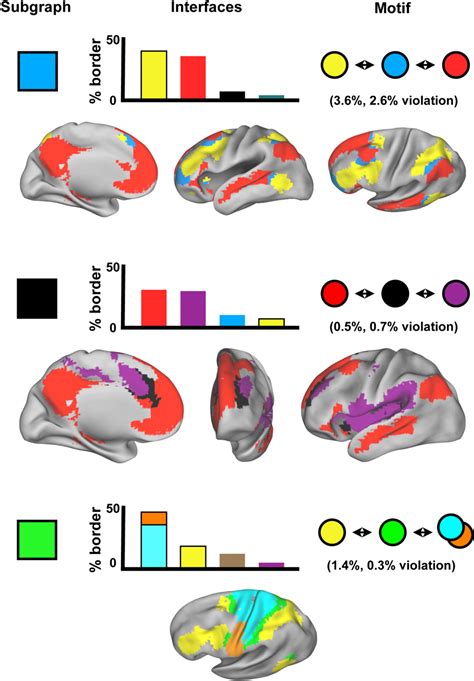 Pdf Functional Network Organization Of The Human Brain Semantic Scholar