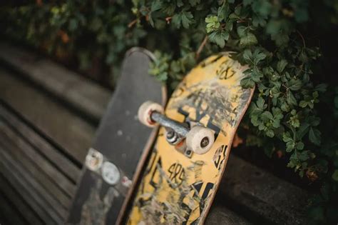 Different Types Of Skateboard Decks Choose The Best Decks