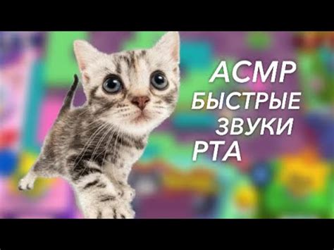 асмр быстрые и агрессивные звуки рта speed mouth sounds YouTube