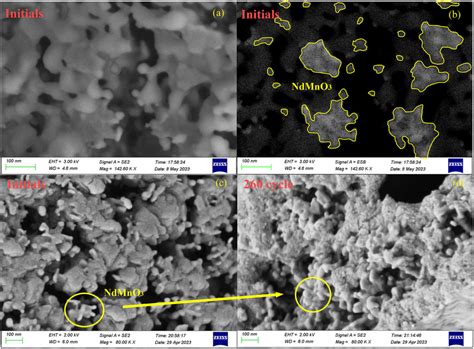 Microscopic SEM Images Of Calcium Oxide Particles Doped With NTEP