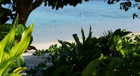 Palm Grove Resort, Rarotonga | 2023 Updated Prices, Deals