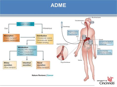 Medical Topics Usmle Materials Updated Usmle Study Data