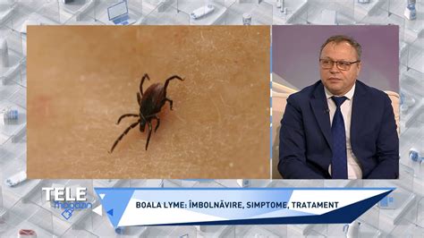 Boala Lyme sau boala transmisă de căpuşe Ce simptome apar şi care sunt