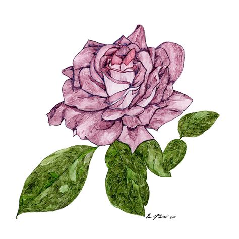 Purple Rose Drawing at PaintingValley.com | Explore collection of ...