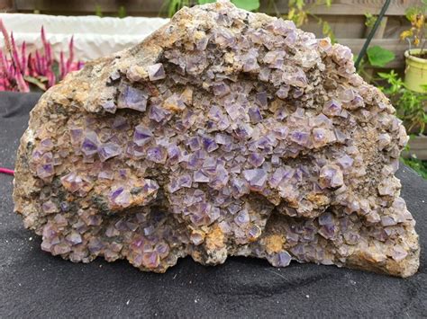 Fluorite Cristalli Su Matrice 123420 Cm 8700 G 1 Catawiki