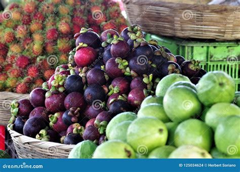 Avocado In The Tegucigalpa Honduras Market Stock Photo | CartoonDealer ...