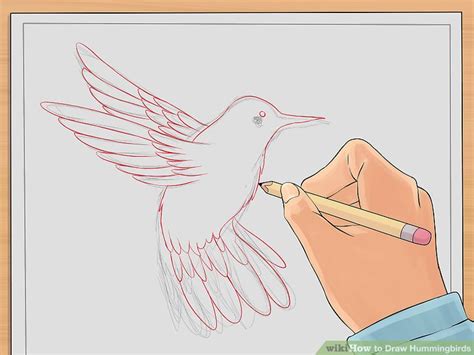 How To Draw Hummingbirds Steps With Pictures Wikihow