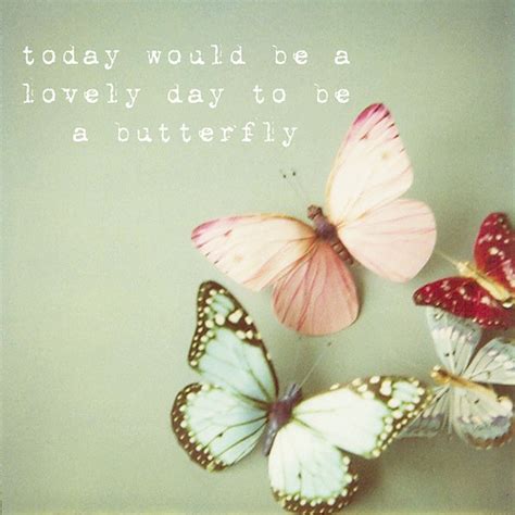 Love Quotes Butterfly. QuotesGram