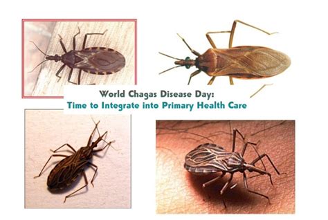 World Chagas Disease Day Time To Integrate Chagas Disease Into Primary