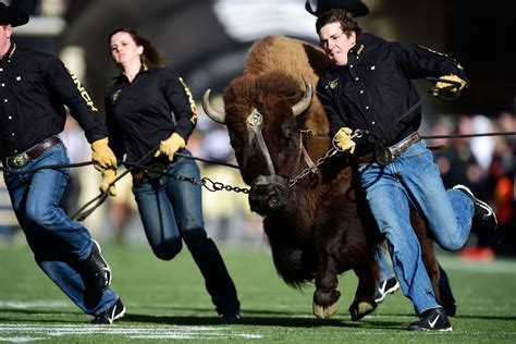 What's it going to be for the Colorado Buffaloes? - Pacific Takes