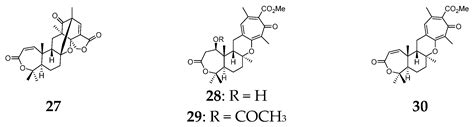 Cytotoxic Natural Products From Marine Sponge Derived Microorganisms