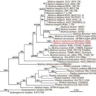 Phylogenetic Tree Inferred From Maximum Likelihood Analysis Based On