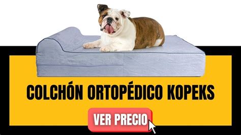 Las 7 Mejores Camas Ortopédicas para Perros Guía de compra