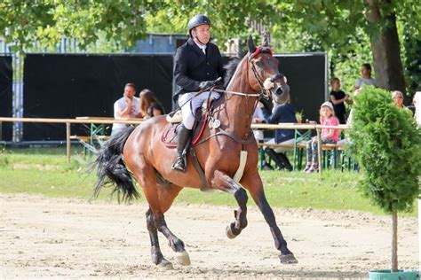 Trebur 03 09 22 In 2022 Springreiten Reitsport Reiten