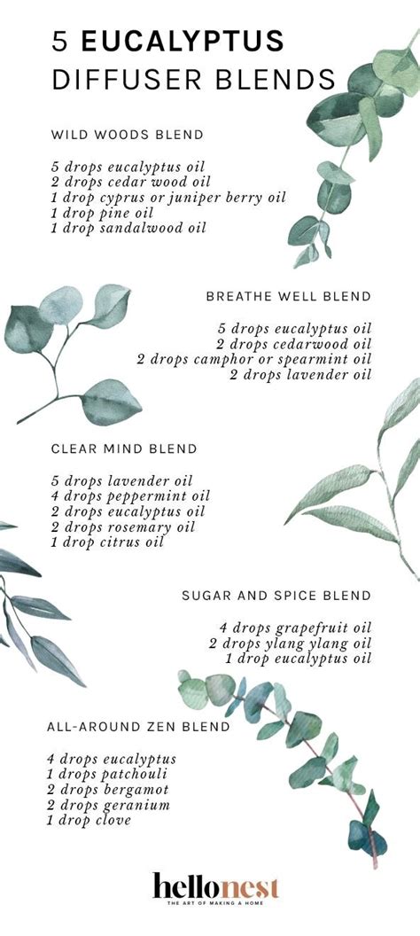 5 Eucalyptus Diffuser Blends To Enjoy All Season Long Hello Nest