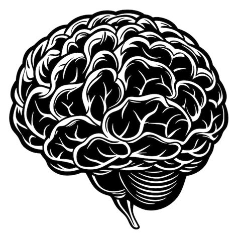 Un Contorno De Un Cerebro En Blanco Y Negro Vector Premium Generado