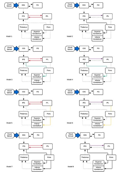 Figure 2 From Cerebro Cerebellar Pathways For Verbal Working Memory