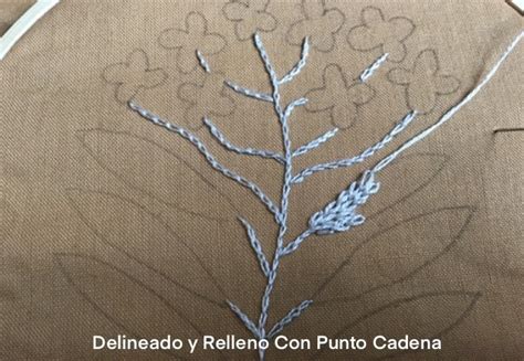 Delineado Y Relleno Con Punto Cadena Club De Bordado