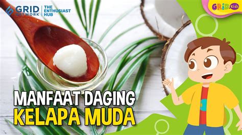 Berbagai Manfaat Daging Kelapa Muda Untuk Kesehatan Salah Satunya