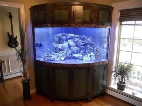 Custom bow front aquariums by SeaQuatic Aquariums