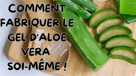 FABRIQUER DU GEL D ALOE VERA POUR ACTIVER LA POUSSE DE VOS CHEVEUX