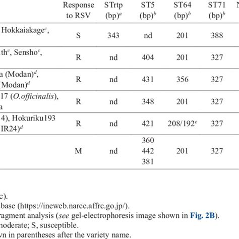 Classification Of Rice Varieties By Using Dna Markers Linked To The