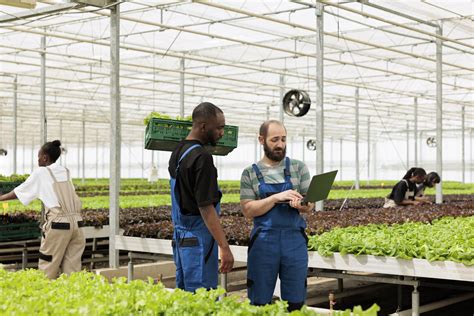 Exploring the Prospects of Investing in JSE-Listed Agricultural and