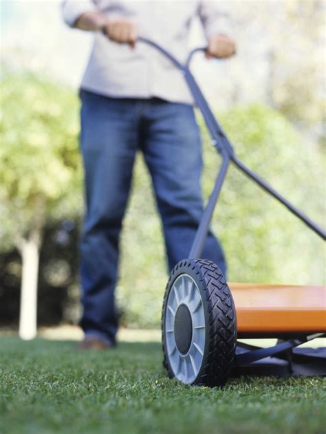 Reasons For Lawn Grass Slowly Thinning