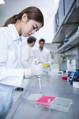 Scientist Working In Lab Stock Image F020 3275 Science Photo Library