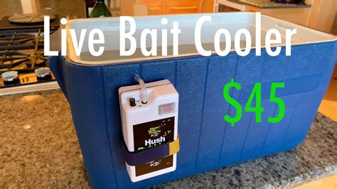 How To Make A Live Bait Cooler Youtube