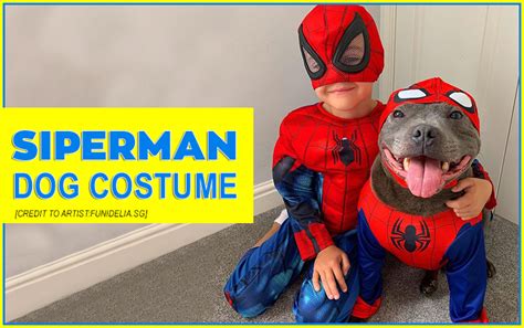 Spiderman Dog Costume - Furry Web-Slinging Superhero! - Dogbells