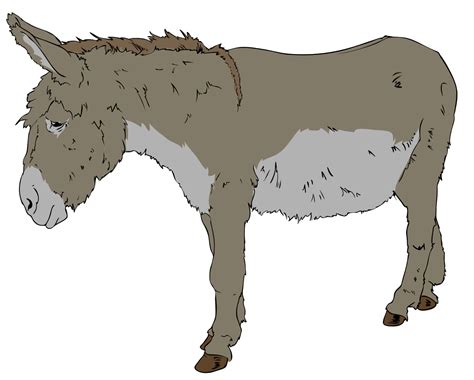 Donkey clipart dead donkey, Donkey dead donkey Transparent FREE for ...