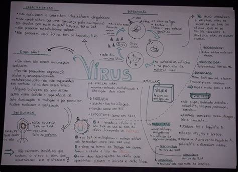 Mapas Mentais Sobre V Rus Study Maps