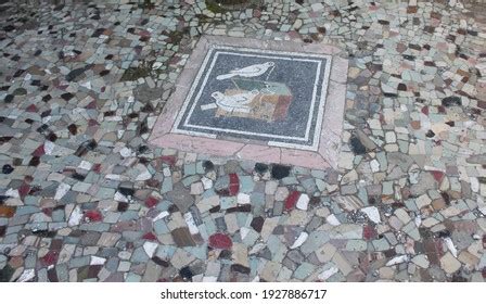 Mosaic Floor Pompeii Italy Stock Photo 1927886717 | Shutterstock