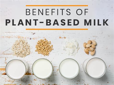 Amazing Health Benefits Of Vegan Milk Plant Based Milk