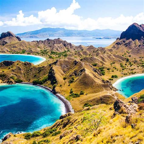 One Day Trip From Bali To Komodo Island This Rinca Bersamawisata