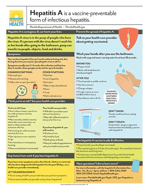 Hepatitis A Florida Department Of Health In Pasco