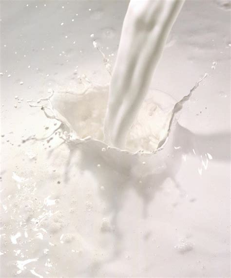 Milk-Splash Photography Brief