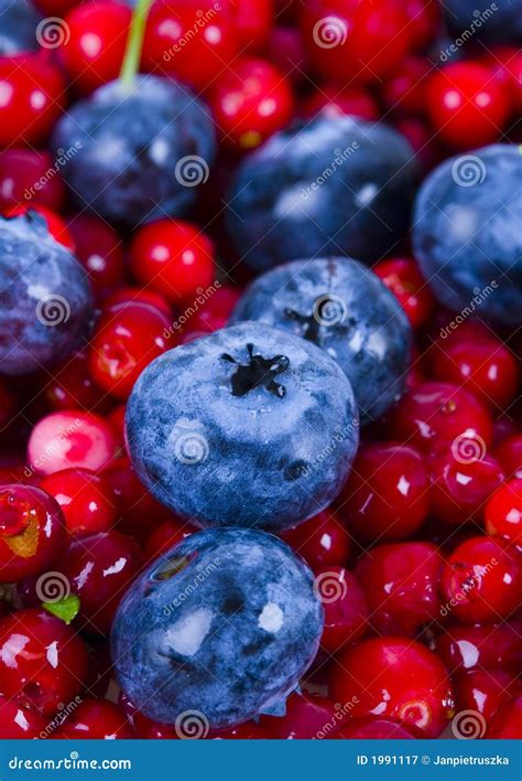 Blueberries And Cranberries Stock Image Image Of Colour Food 1991117