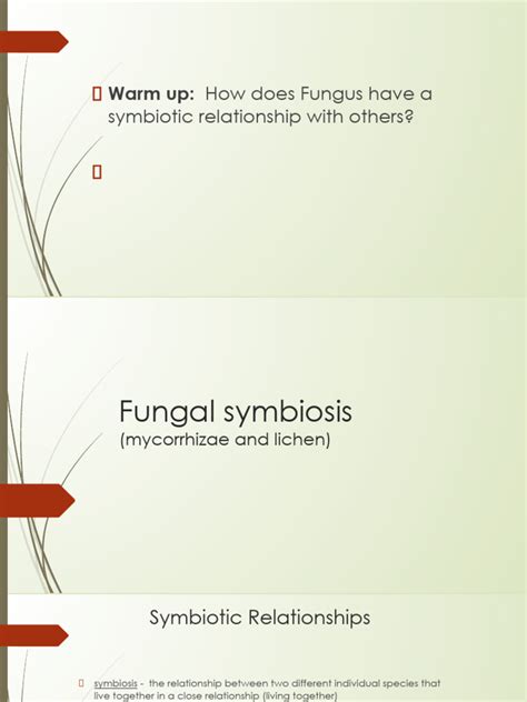 Fungal Symbiosis | PDF | Symbiosis | Fungus