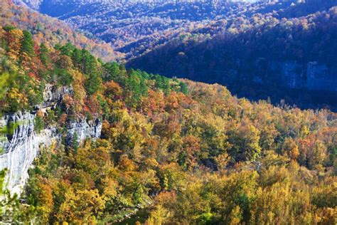 A Scenic View Of Trees Changing Color And The Buffalo River In The