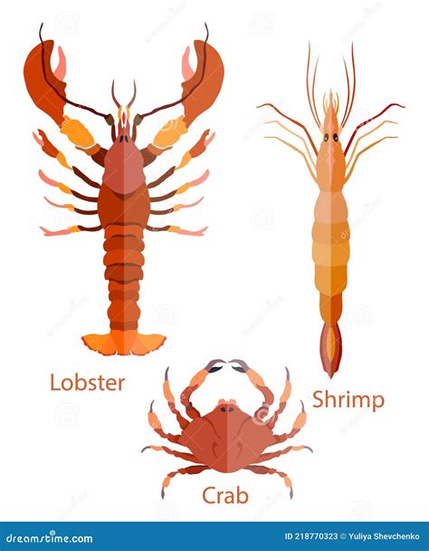 Flat Symmetrical Lobster Crab And Shrimp Isolated Stock Vector