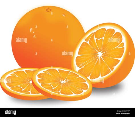 Valencia Orange Fruit Stock Vector Images Alamy