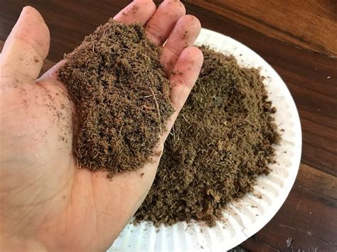 Professional Grade Sphagnum Peat Moss Pure Canadian Fibrous Etsy