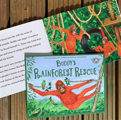 Buddys Rainforest Rescue 1 Make It Wild