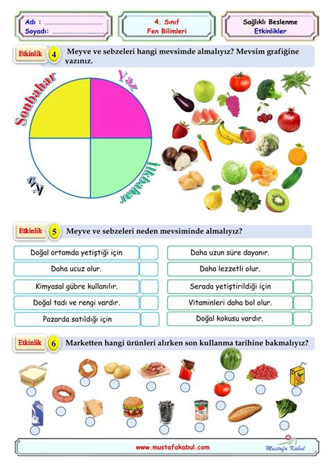 4 Sınıf Fen Bilgisi Besinlerimiz Ünite Özeti Konu Anlatımı Testler