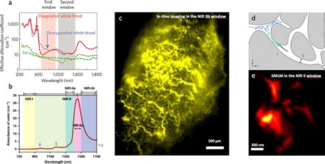 On Some Current Challenges In High Resolution Optical Bioimaging Acs